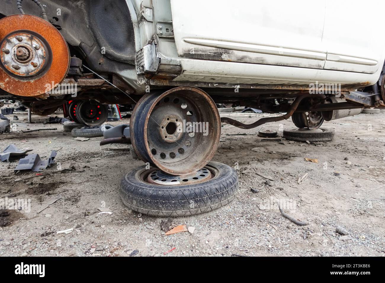 An old car lifted up by car wheels at a car junkyard Stock Photo Alamy