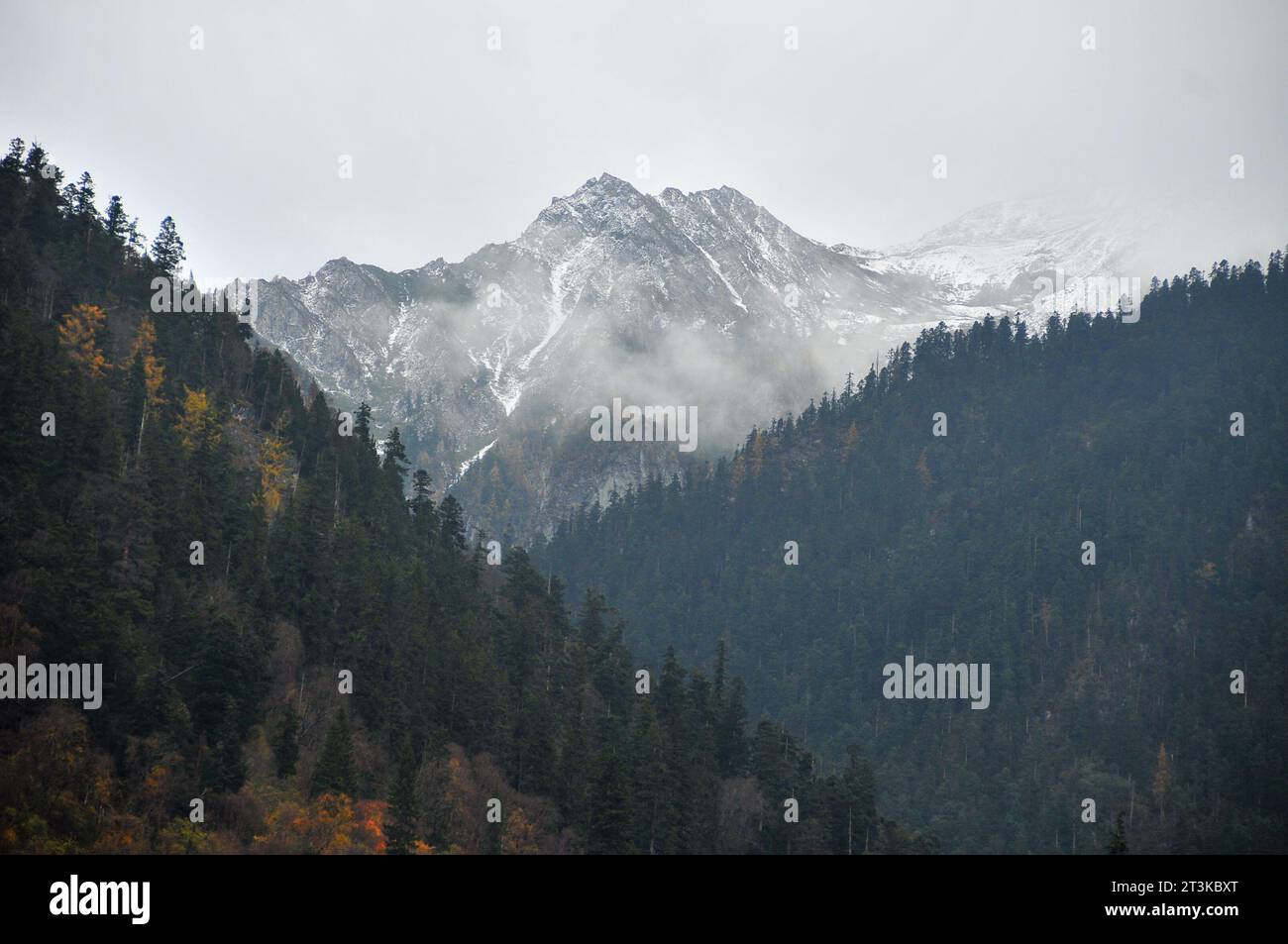 Photo of mountains shrouded in clouds and fog Stock Photo - Alamy