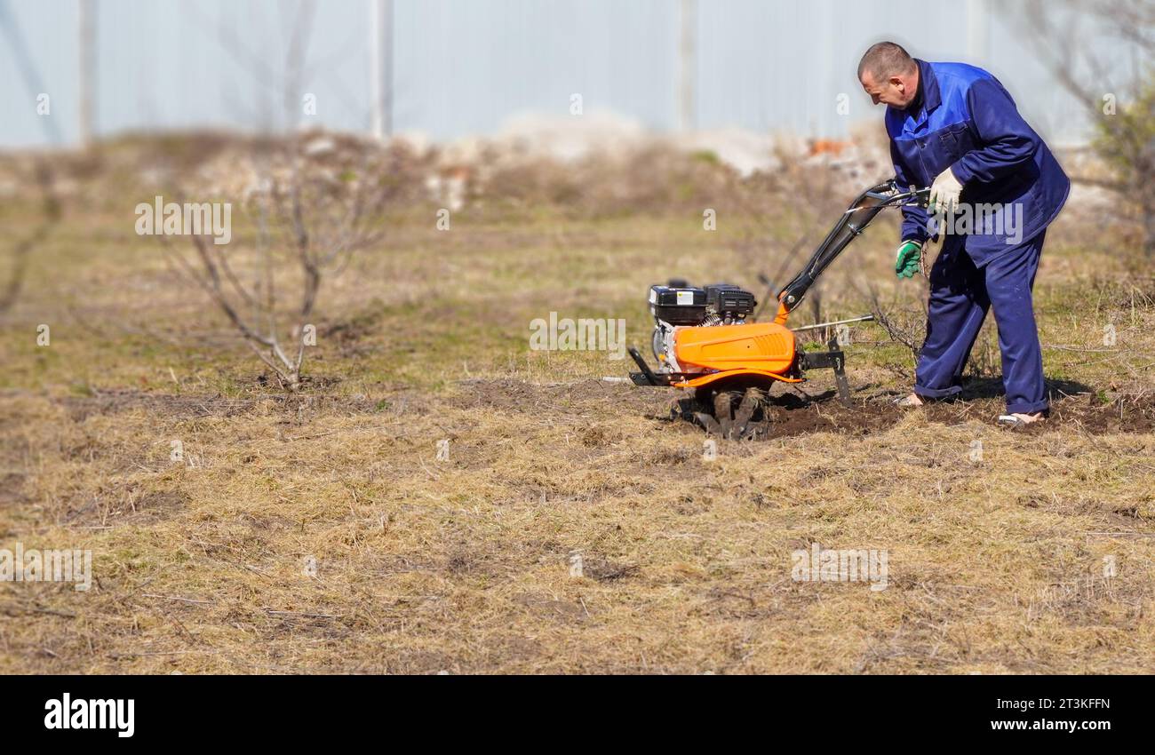 A man works in a vegetable garden in early spring. Digs the ground ...