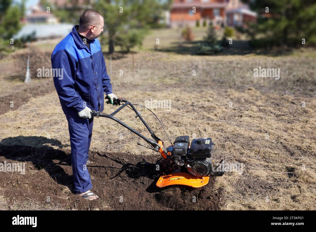 A man works in a vegetable garden in early spring. Digs the ground ...