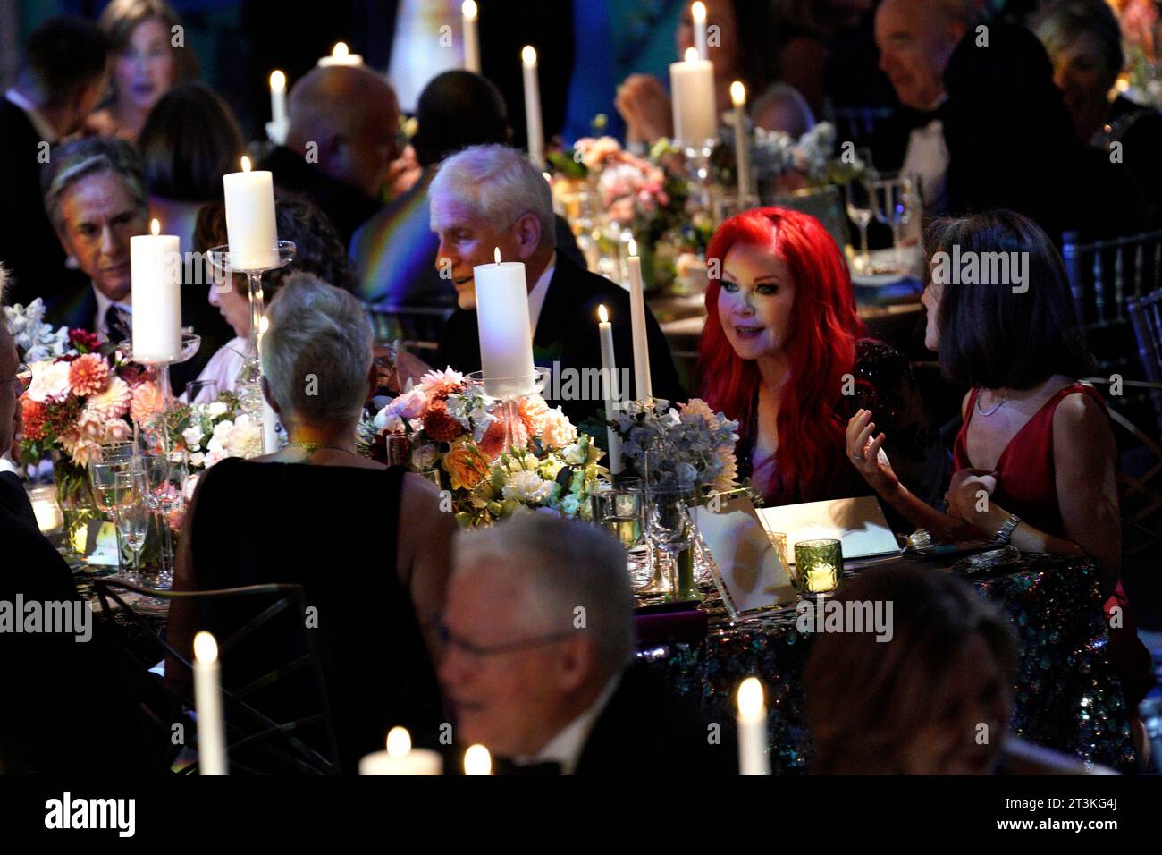 Washington, Vereinigte Staaten. 25th Oct, 2023. The B-52's singer Kate Pierson attends a State Dinner hosted by US President Joe Biden in honor of Australian Prime Minister Anthony Albanese at the White House in Washington on October 25, 2023. Credit: Yuri Gripas/Pool via CNP/dpa/Alamy Live News Stock Photo