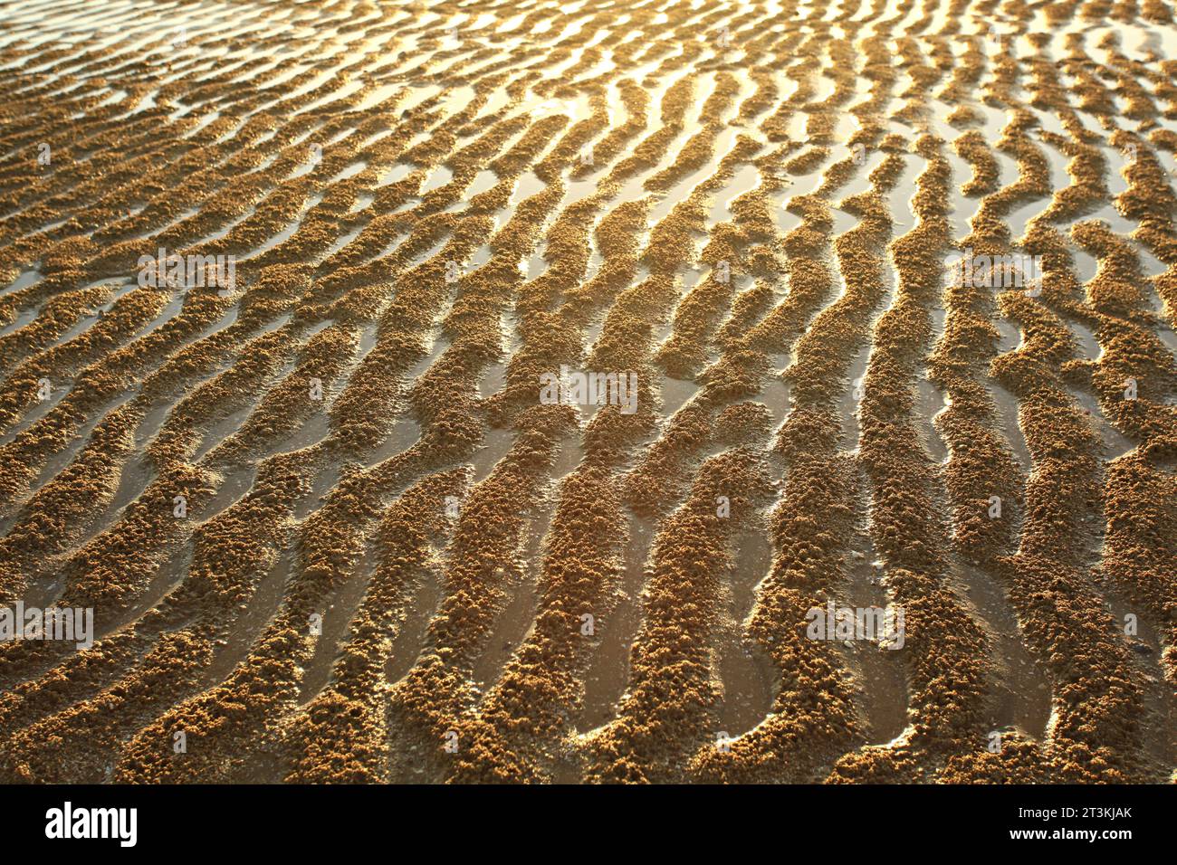 Sand patterns black white hi-res stock photography and images - Alamy