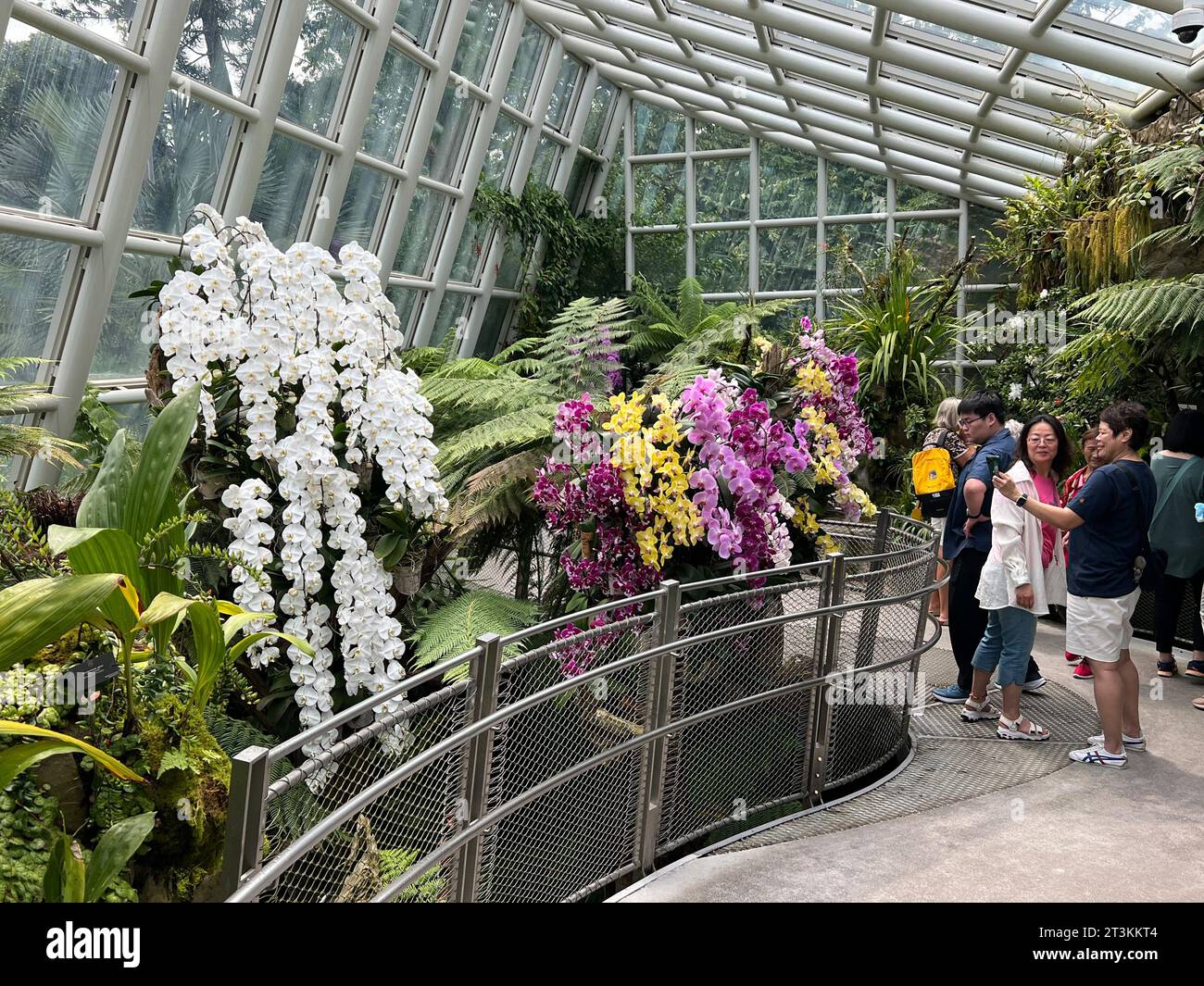 Singapur Singapore 01st Oct 2023 Visitors Admire Orchids In singapur-singapore-01st-oct-2023-visitors-admire-orchids-in