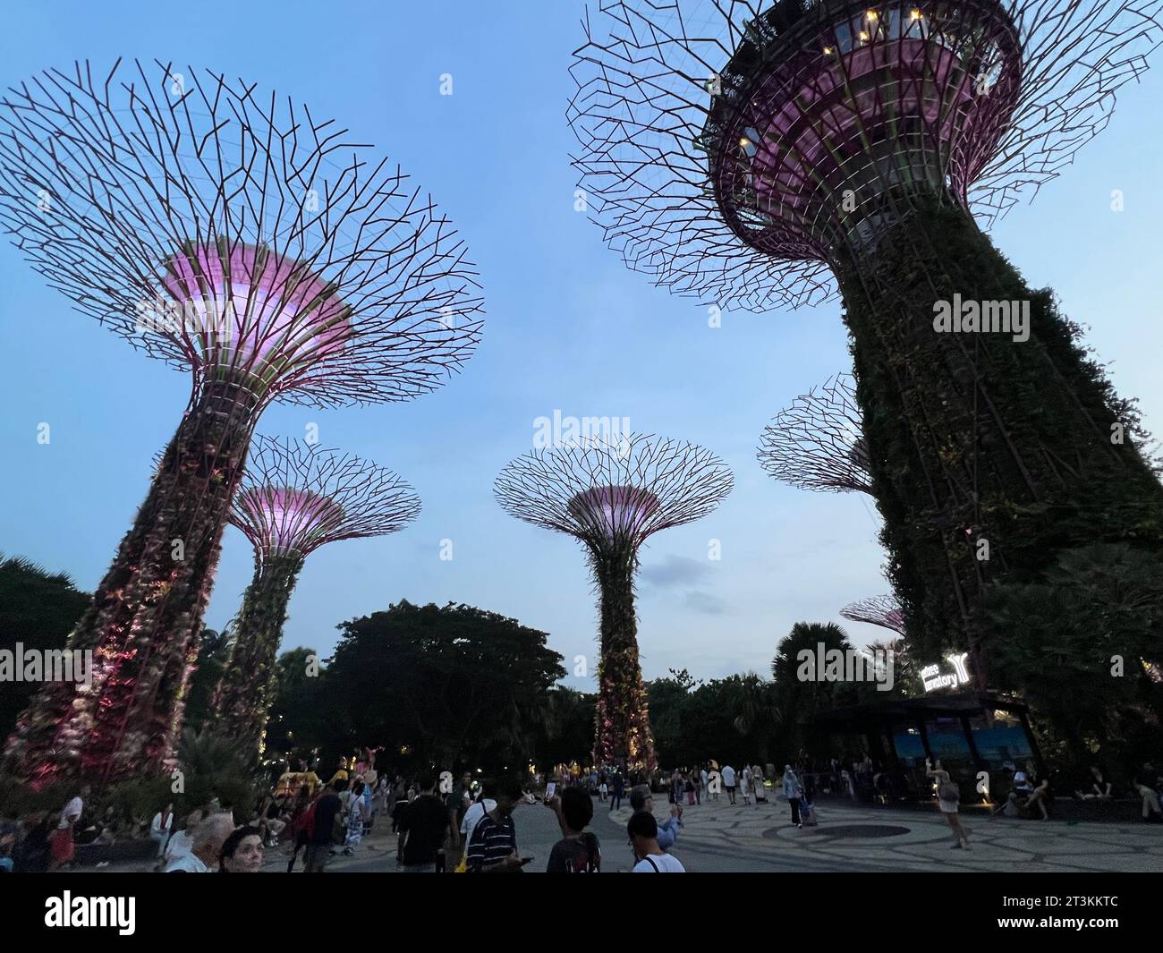 Gardens by the bay singapore 2023 hires stock photography and images