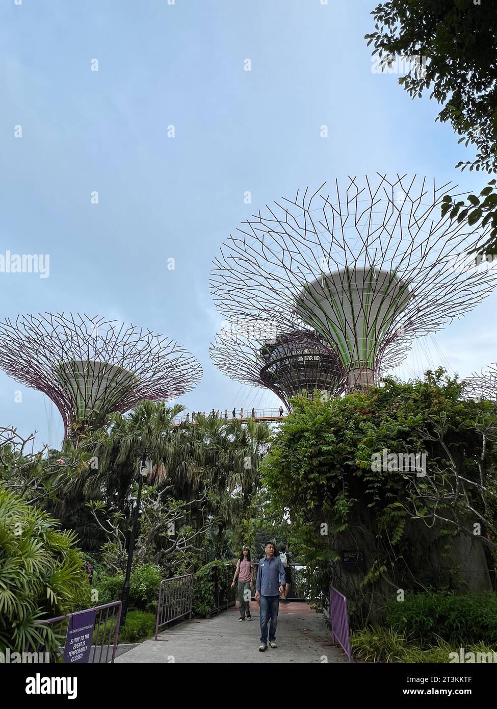 Singapur, Singapore. 01st Oct, 2023. The Supertrees in the Gardens by