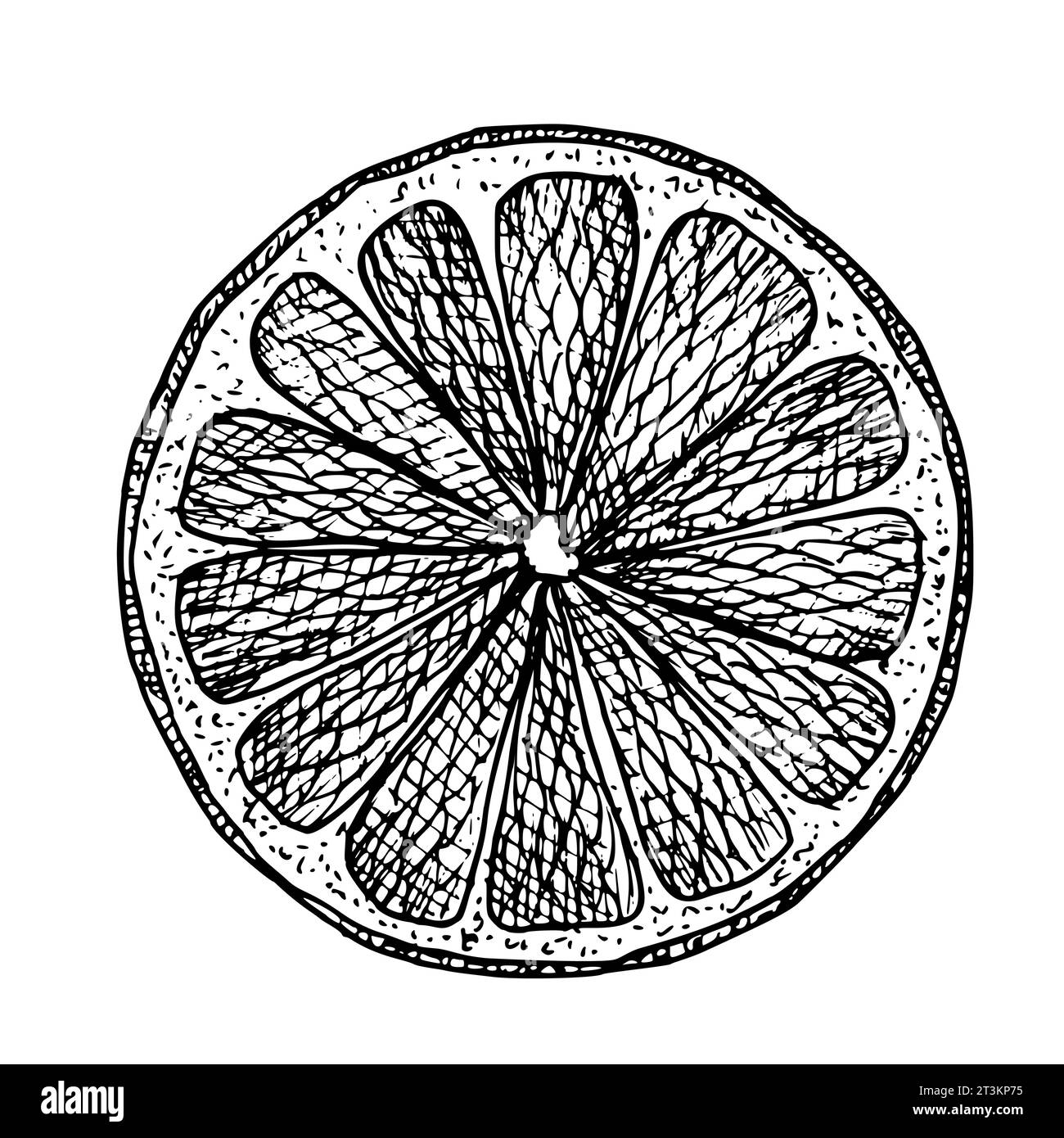 Orange Slice Drawing Black And White