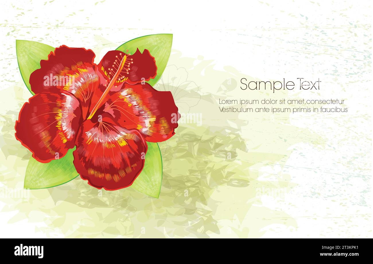 Watercolor floral background Royalty Free Vector Image Stock Vector ...