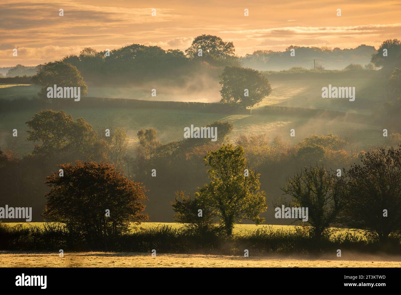 Autumn is coming on the high weald near Dallington east Sussex south