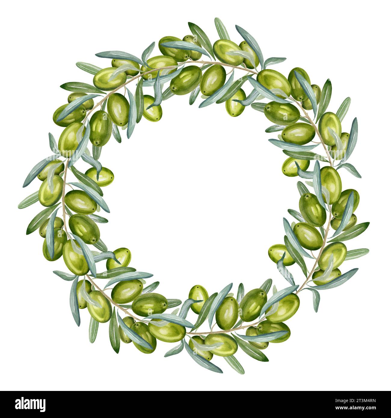 watercolor wreath with branch of green olives with leaves and fruits ...