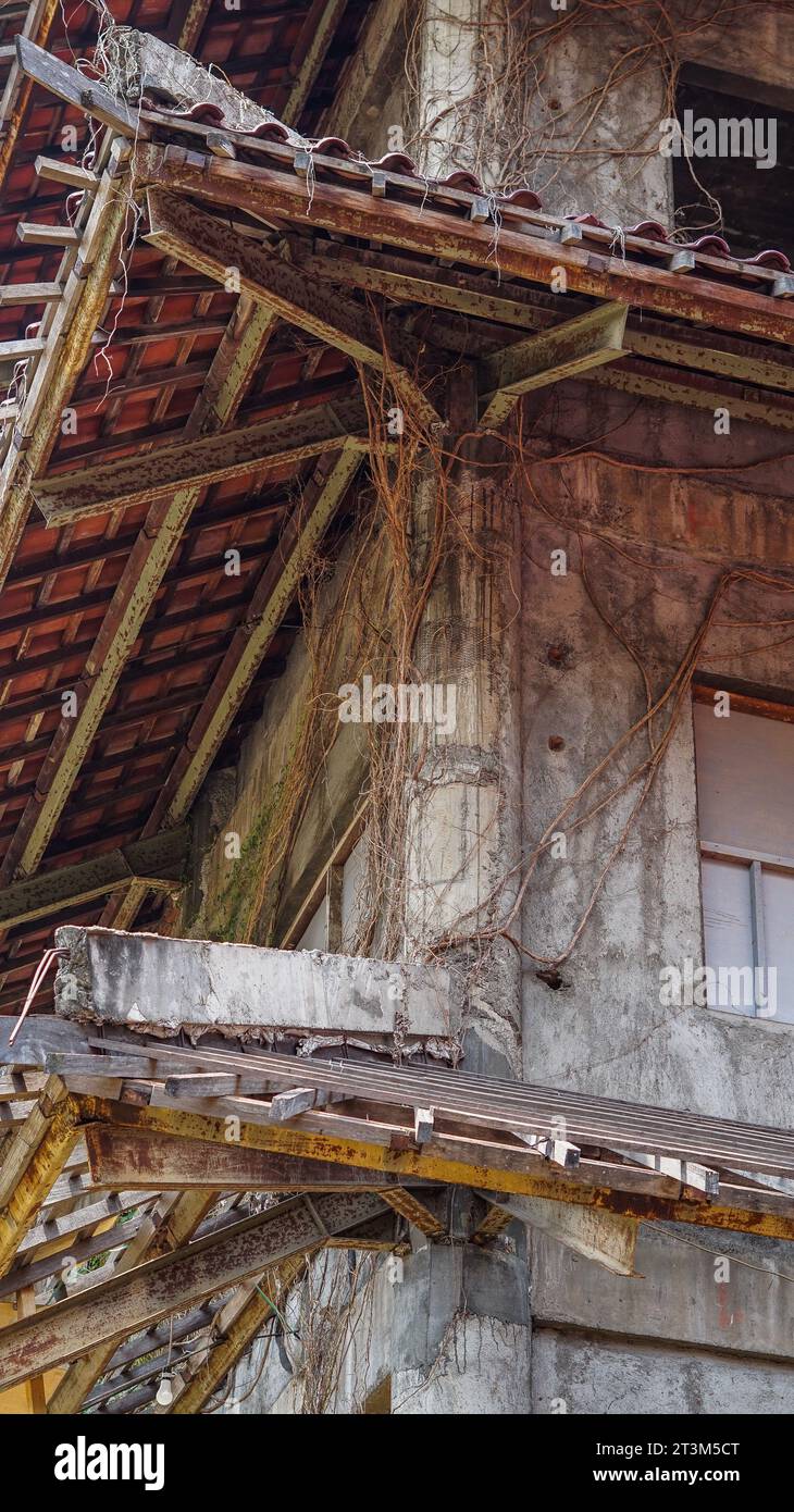 uninhabited houses, full of plant roots and cracked buildings ...