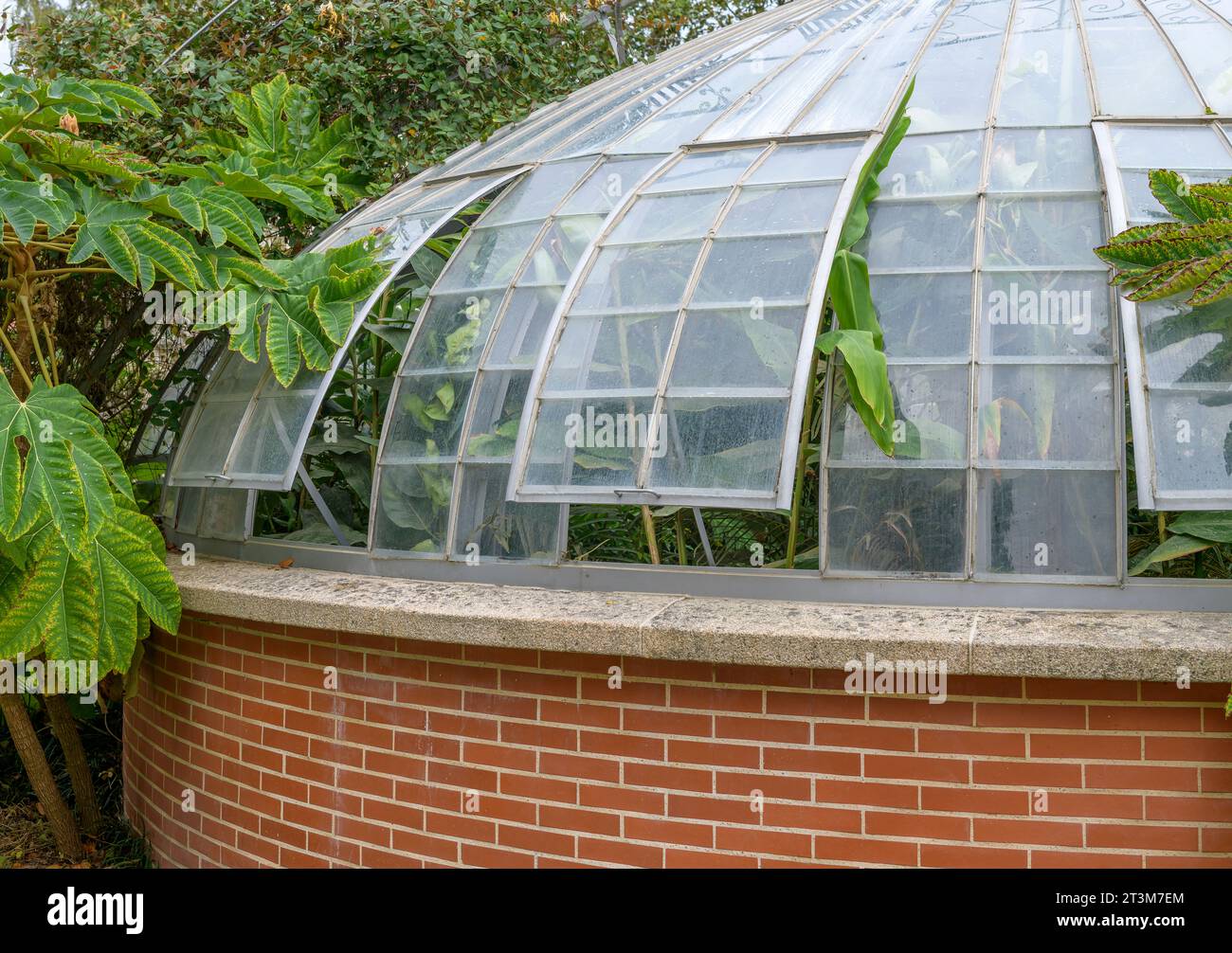 The unusually shaped tropical greenhouse at Nantes Plant Garden (Jardin des Plantes de Nantes). A botanical garden classified as Jardin Remarquable. Stock Photo