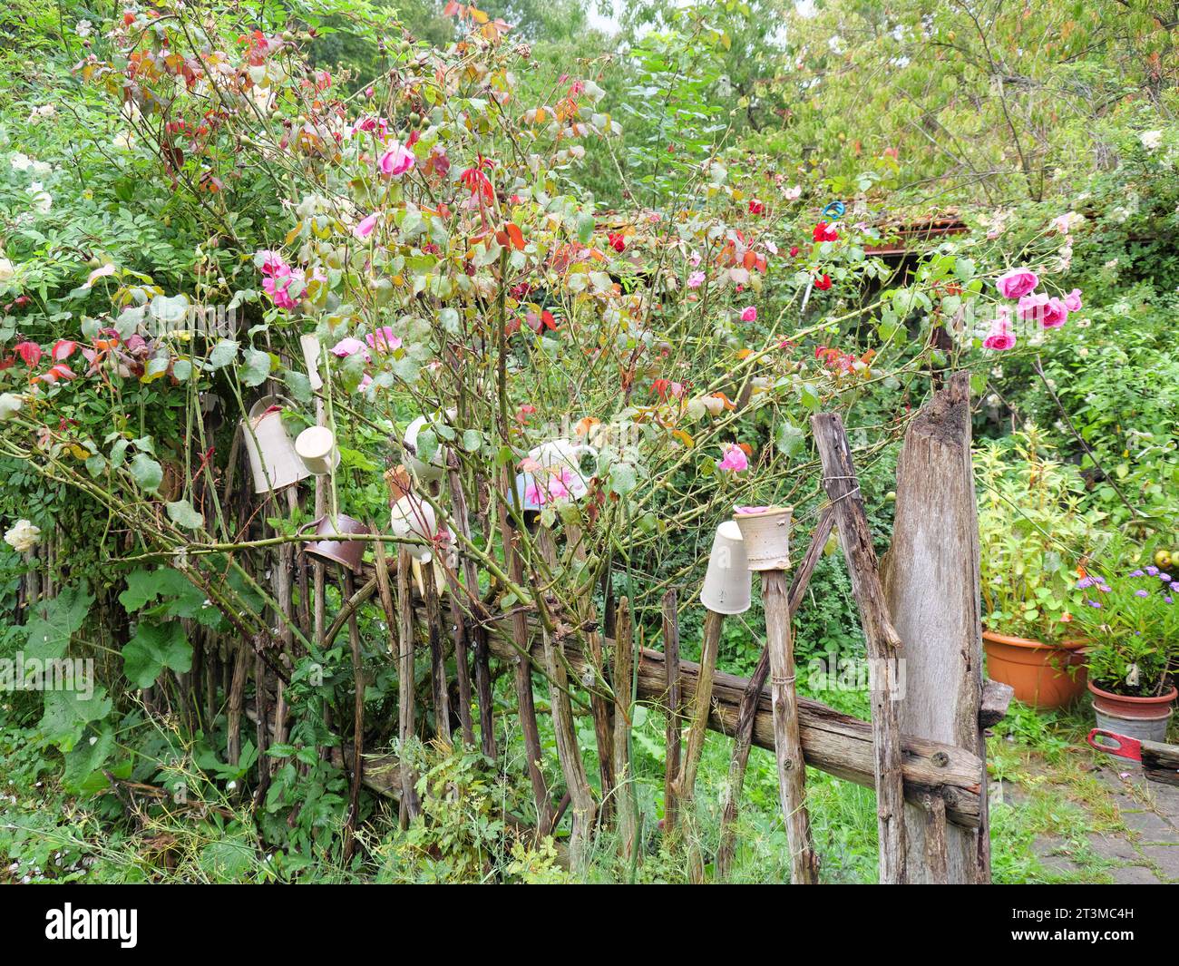 Pots stuck on a picket fence of the nursery of the castle Wiligrad
