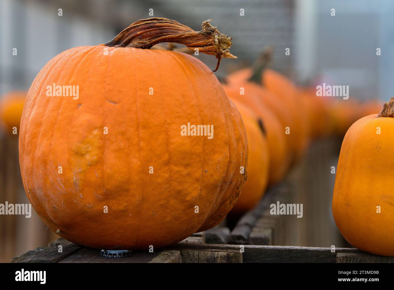 Farma vranany hi-res stock photography and images - Alamy