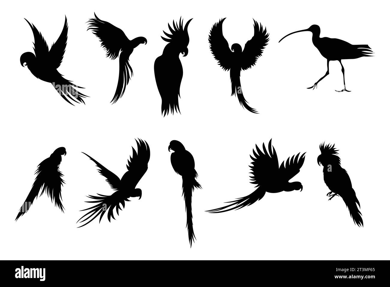 isolated bird silhouettes in a vector collection, graphic resources. Stock Vector