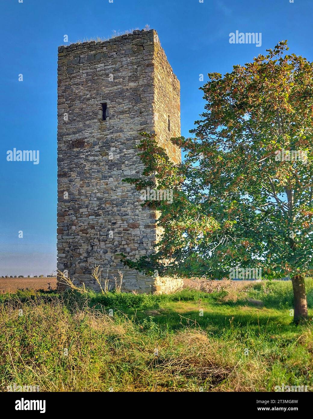 Medieval German watchtower (called Blaue Warte) near Wanzleben. Stock Photo