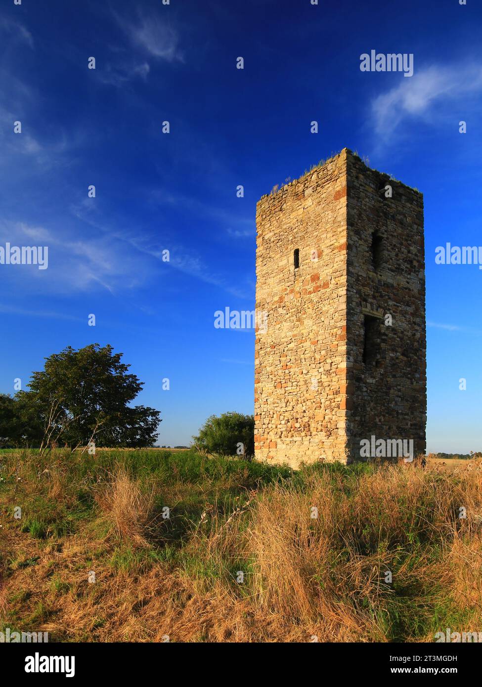 Medieval German watchtower (called Blaue Warte) near Wanzleben in evening light. Stock Photo
