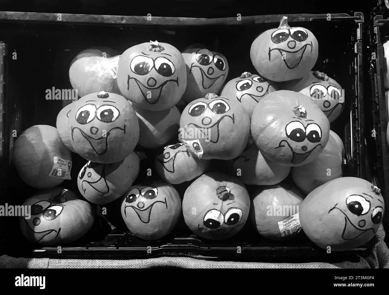 26.10.2023, Halloween 2023, im Bild: kleine Halloween Kurbisse mit gute Laune warten auf Kundschaft *** 26 10 2023, Halloween 2023, in the picture small Halloween crank bites with good mood waiting for customers Credit: Imago/Alamy Live News Stock Photo