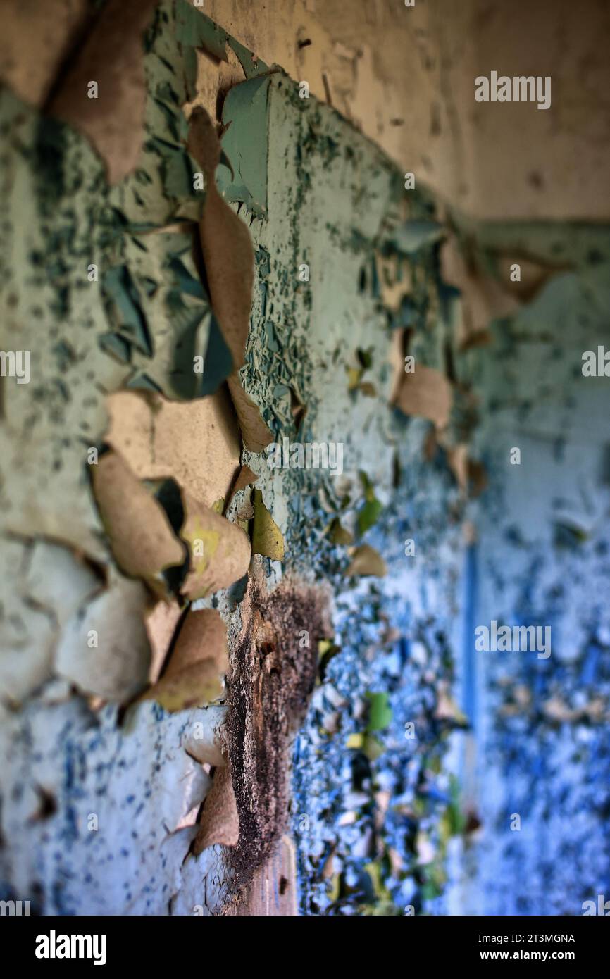 Paint and wallpaper peeling off a wall in an abandoned building. Stock Photo