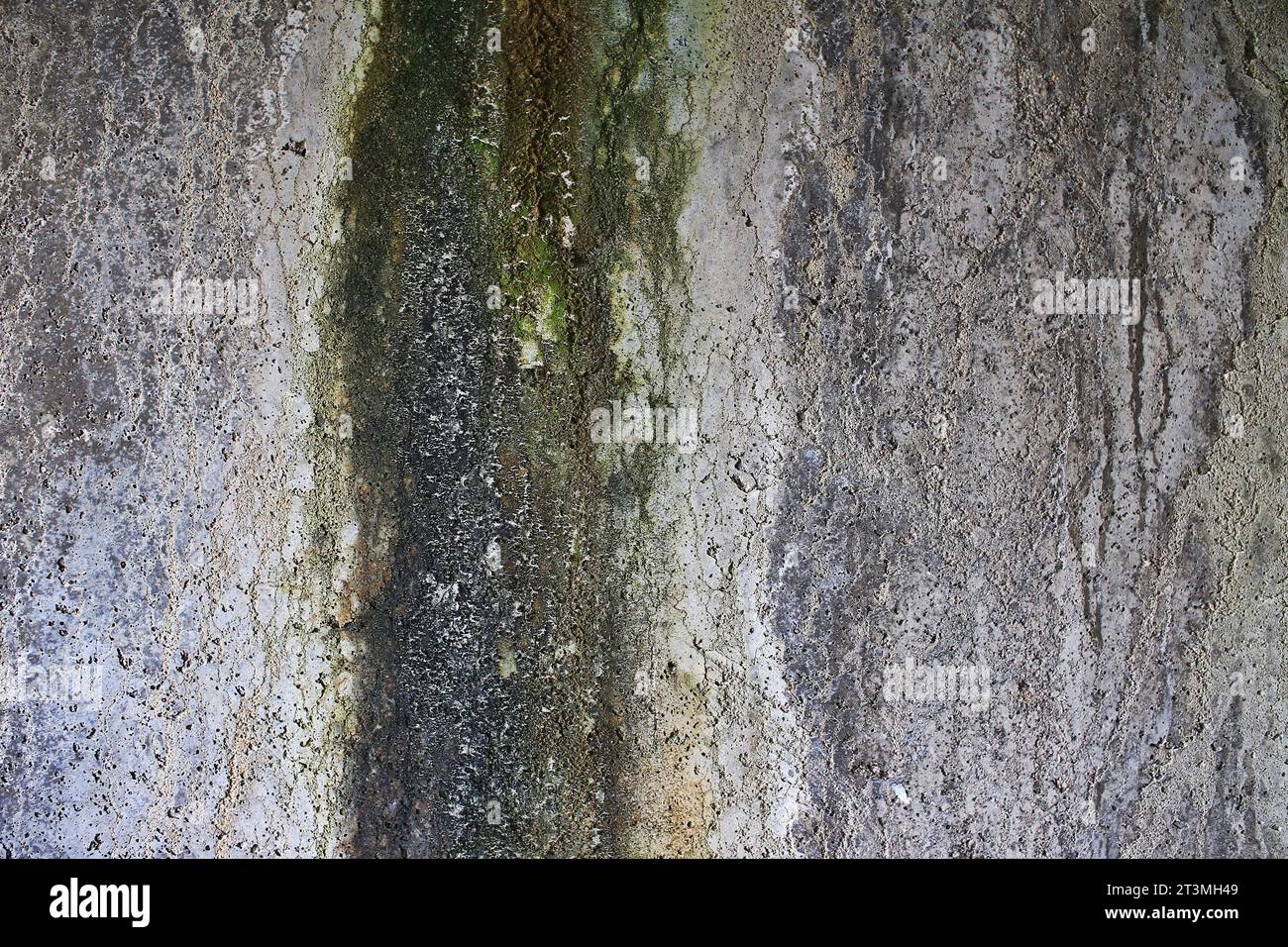 Weathered concrete texture with moss beginning to grow. Stock Photo