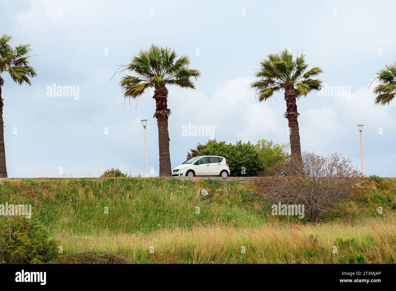 Mercedes-Benz A-Class early generation white subcompact car parked between palm trees lining a street road off a greenery field Stock Photo