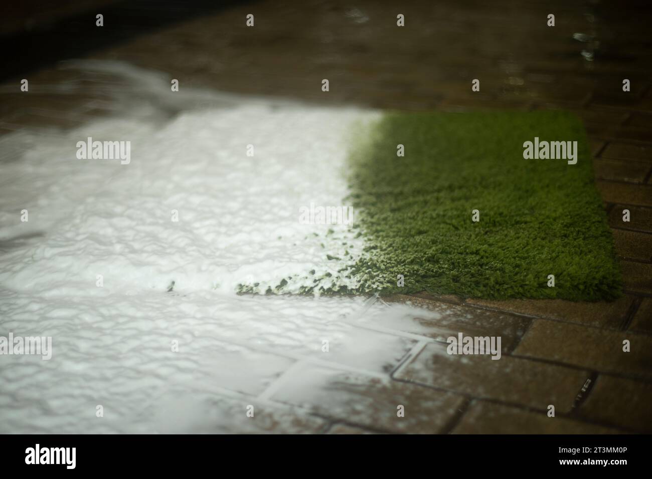 Carpet in foam. Washing dirt off the carpet. Dry cleaning of fabrics. Shampoo application