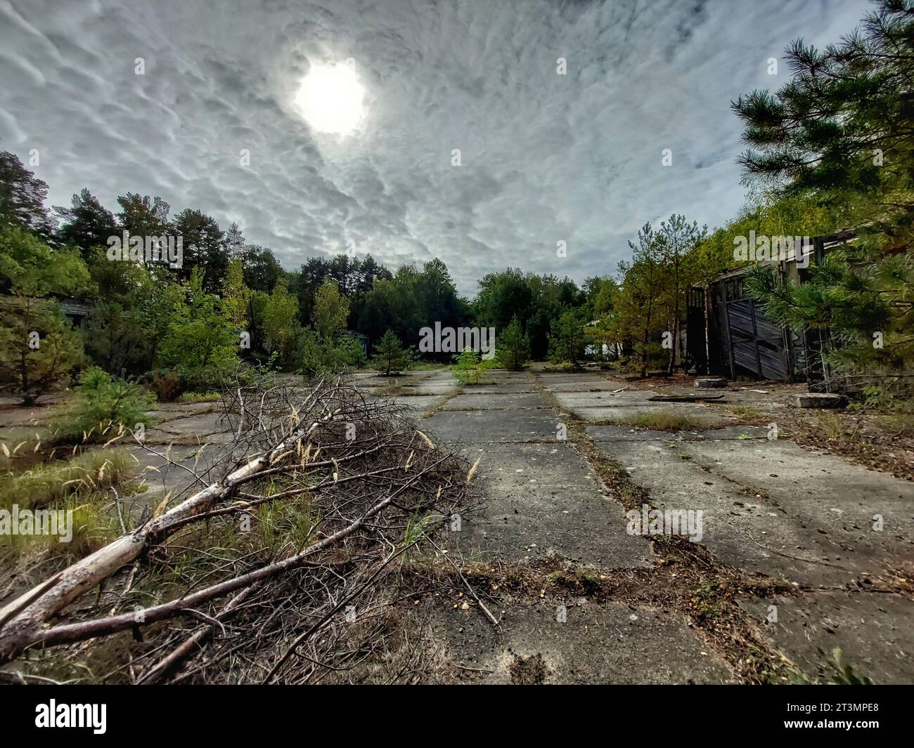 Unused abandoned site in a forest with concrete roads and wooden sheds. Stock Photo