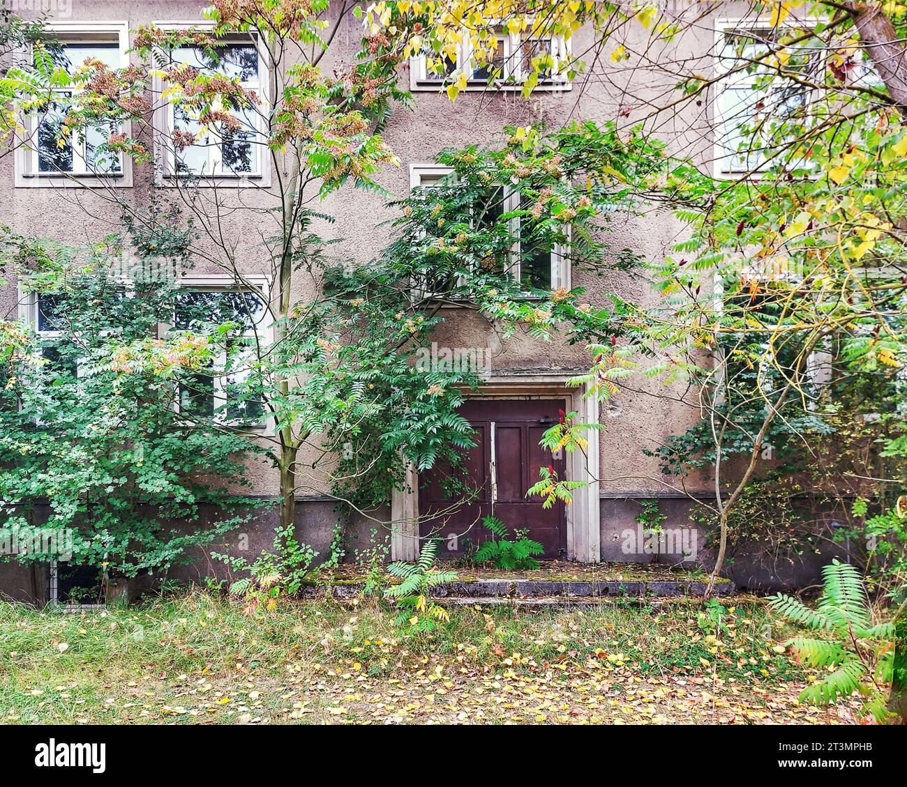 Facade of an old German building with dense vegetation. Stock Photo