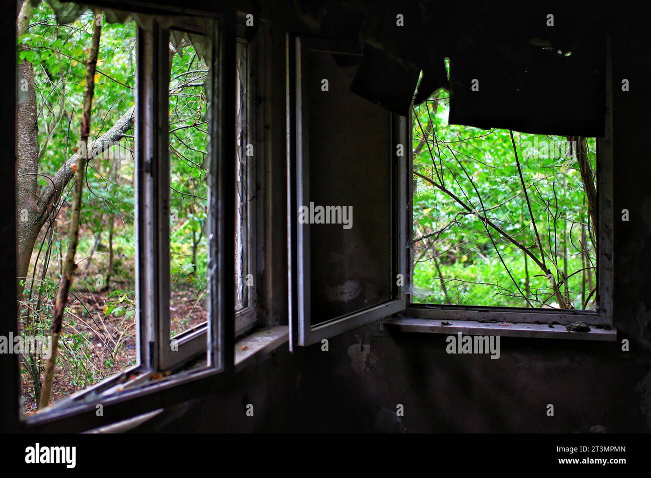 Broken windows and ceiling panels in an abandoned building. Stock Photo