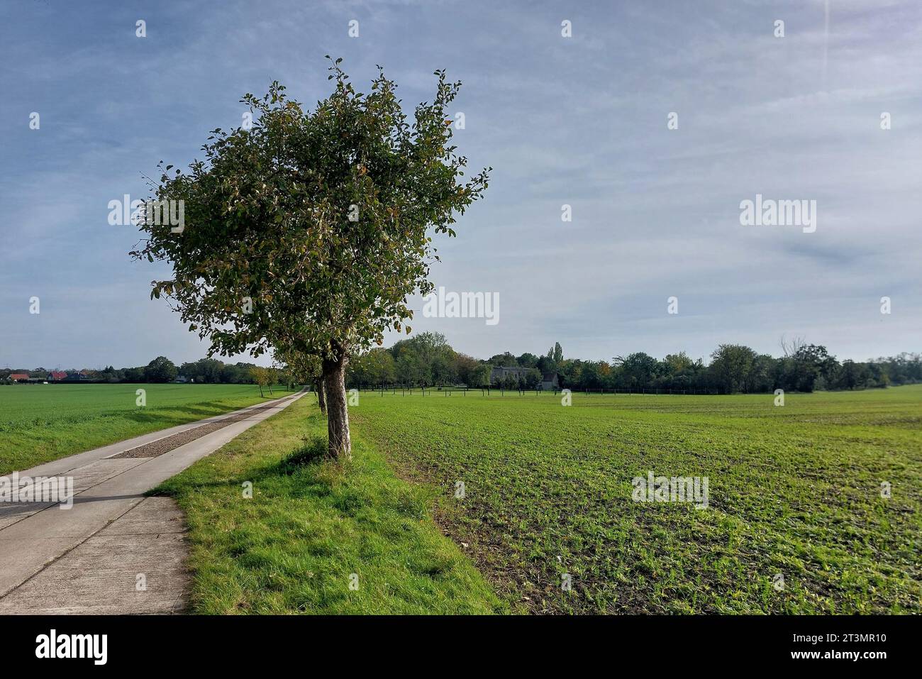 Agricultural road on a field in Germany. Stock Photo