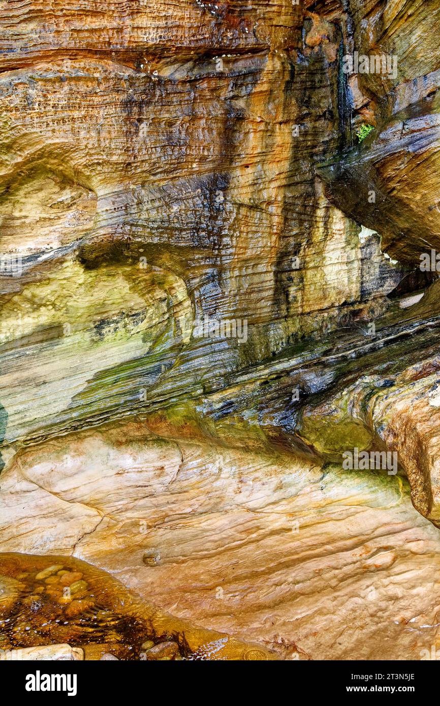 Hopeman Moray Coast Scotland cliff of coloured sandstone rock covered by dripping water Stock Photo