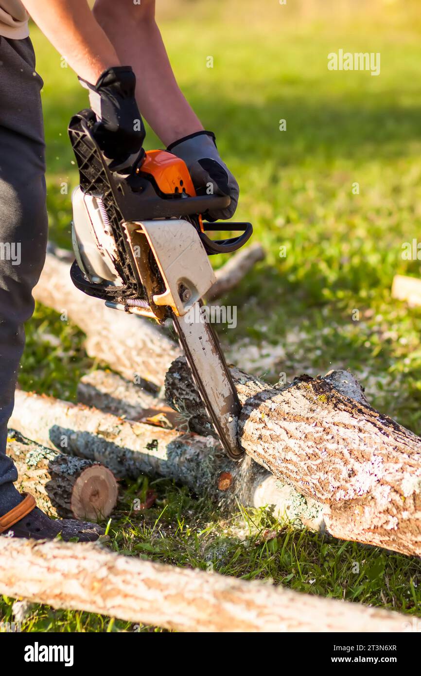 Chainsaw cutting log lawn hi-res stock photography and images - Alamy