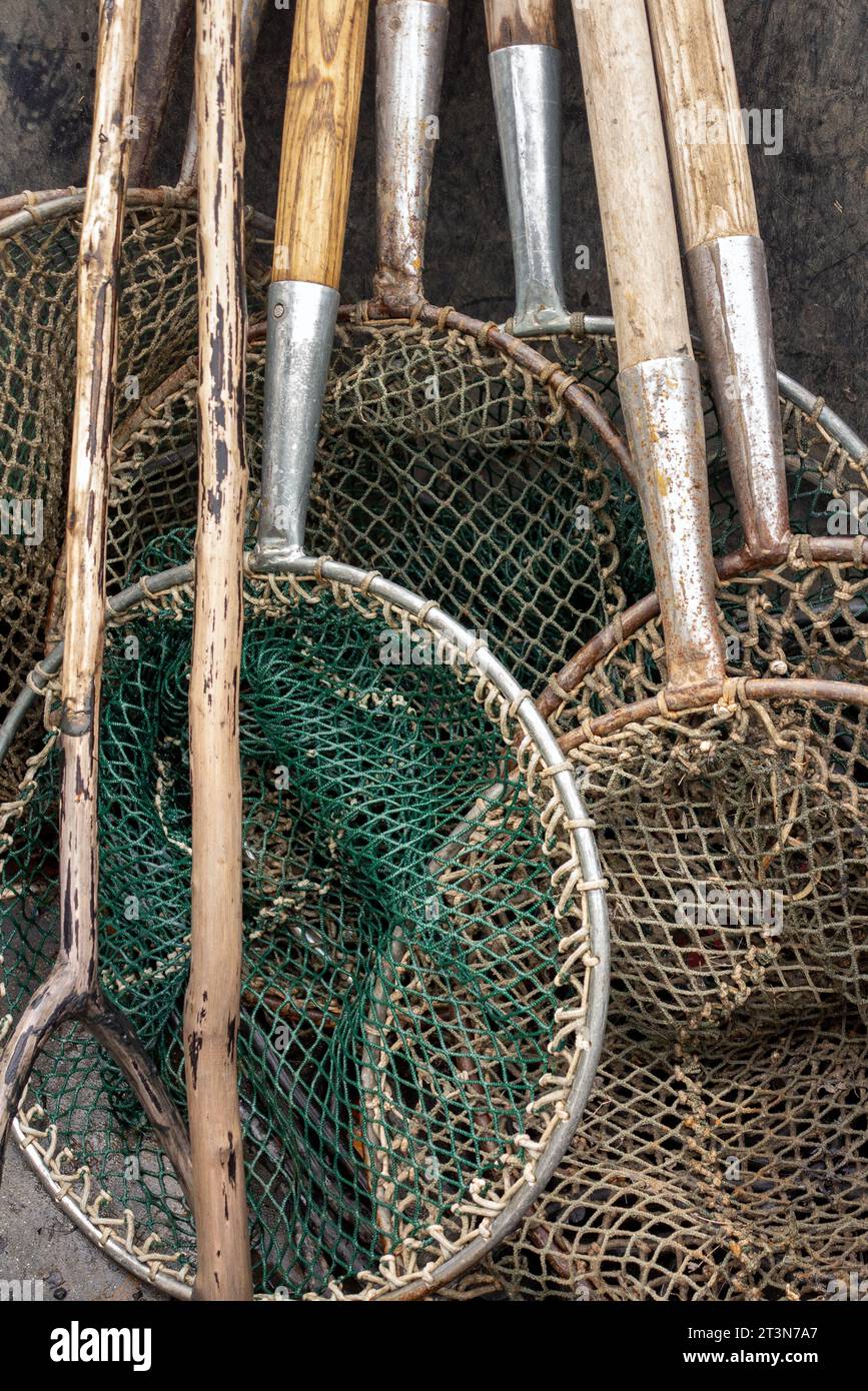 carp fishing nets, carp landing net, autumn, fishing Stock Photo - Alamy