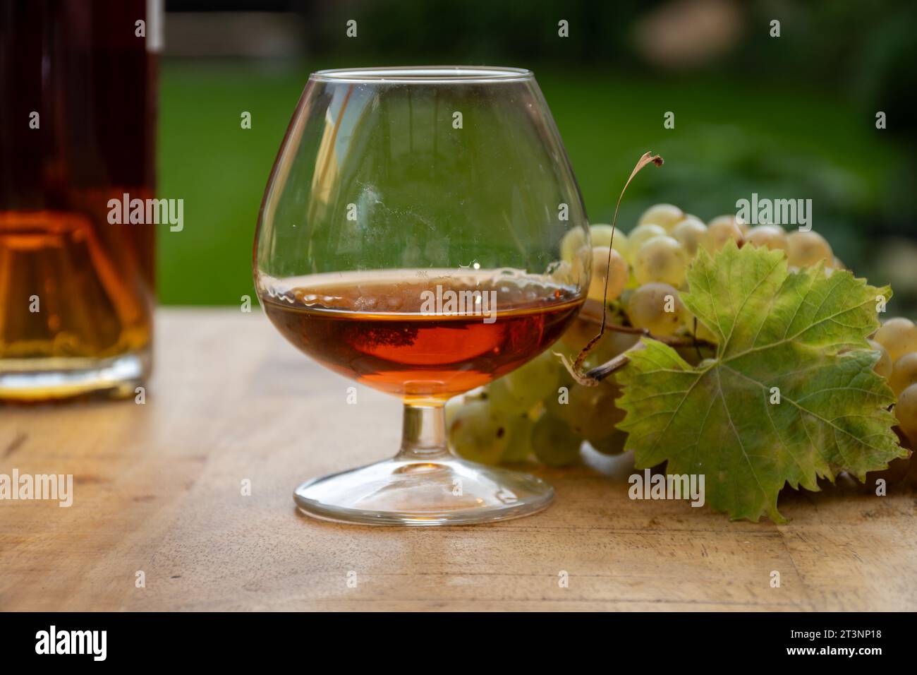 Outdoor tasting of Cognac strong alcohol drink in Cognac region