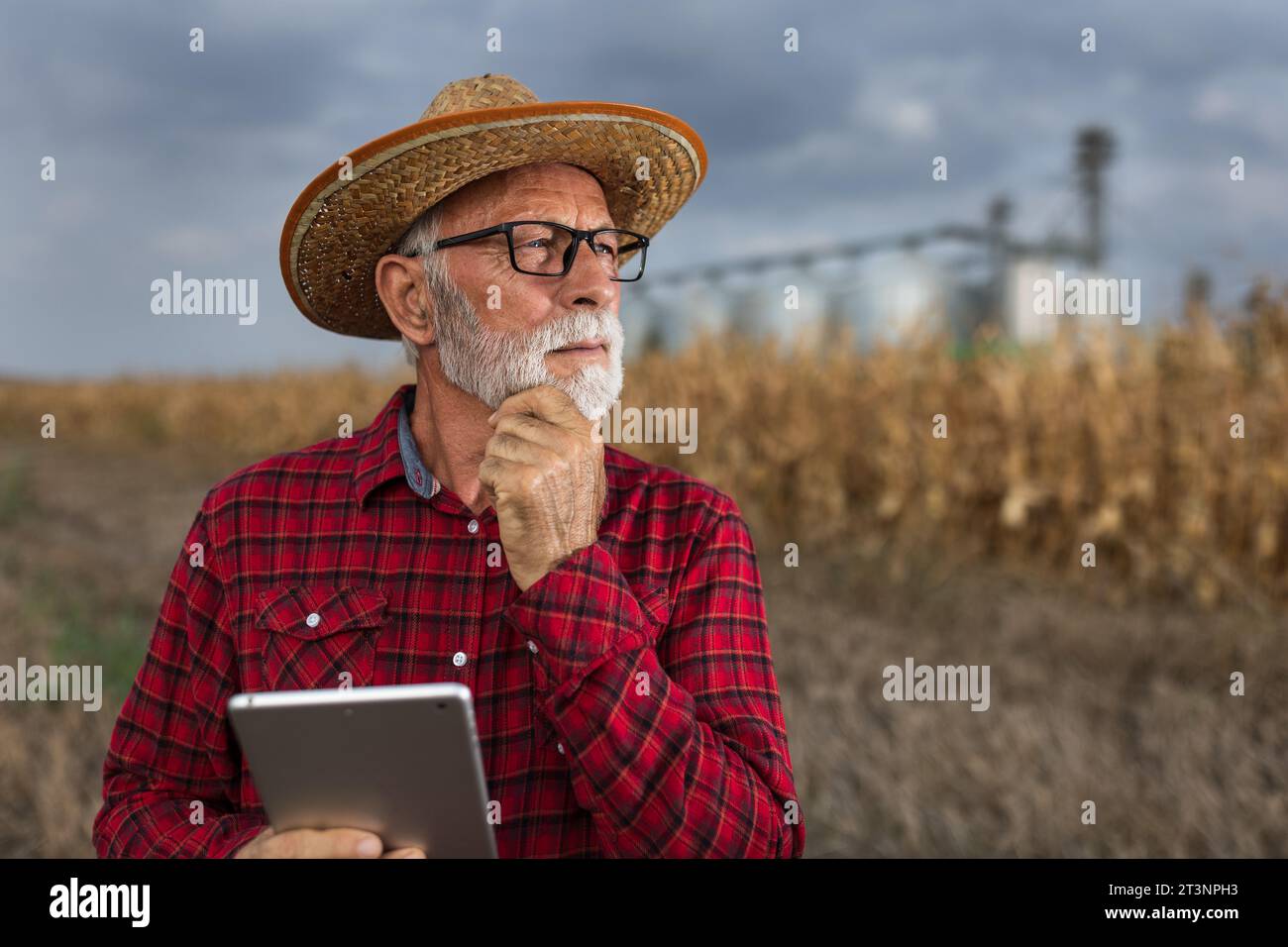 Pensive senior man farmer working on tablet in corn field in front of grain silos Stock Photo