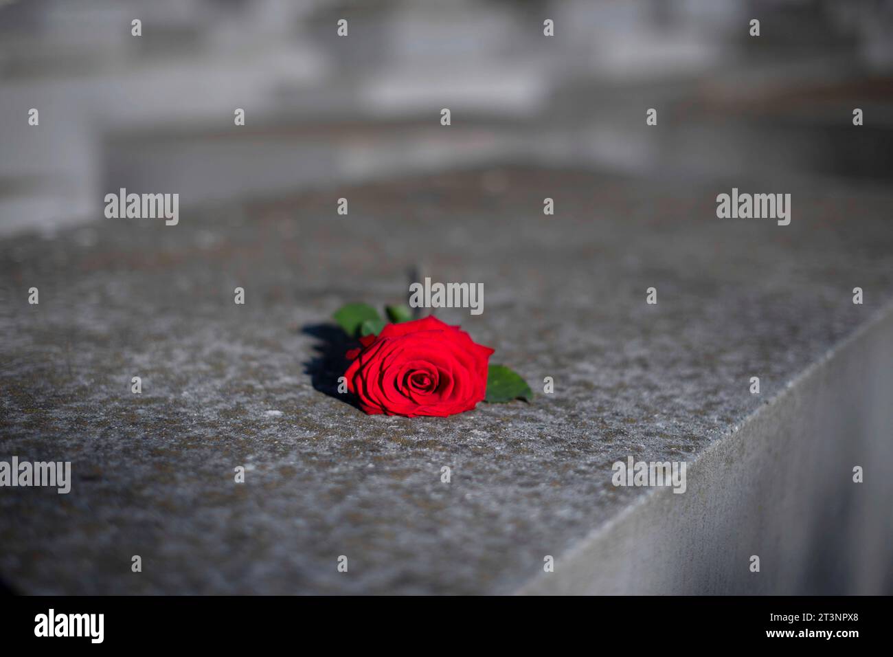 Holocaust Memorial Deu, Deutschland, Germany, Berlin, 22.10.2023 Rote ...