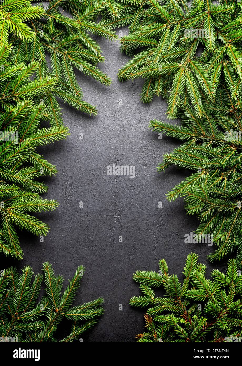 Christmas fir tree branch frame over stone with space for greetings ...