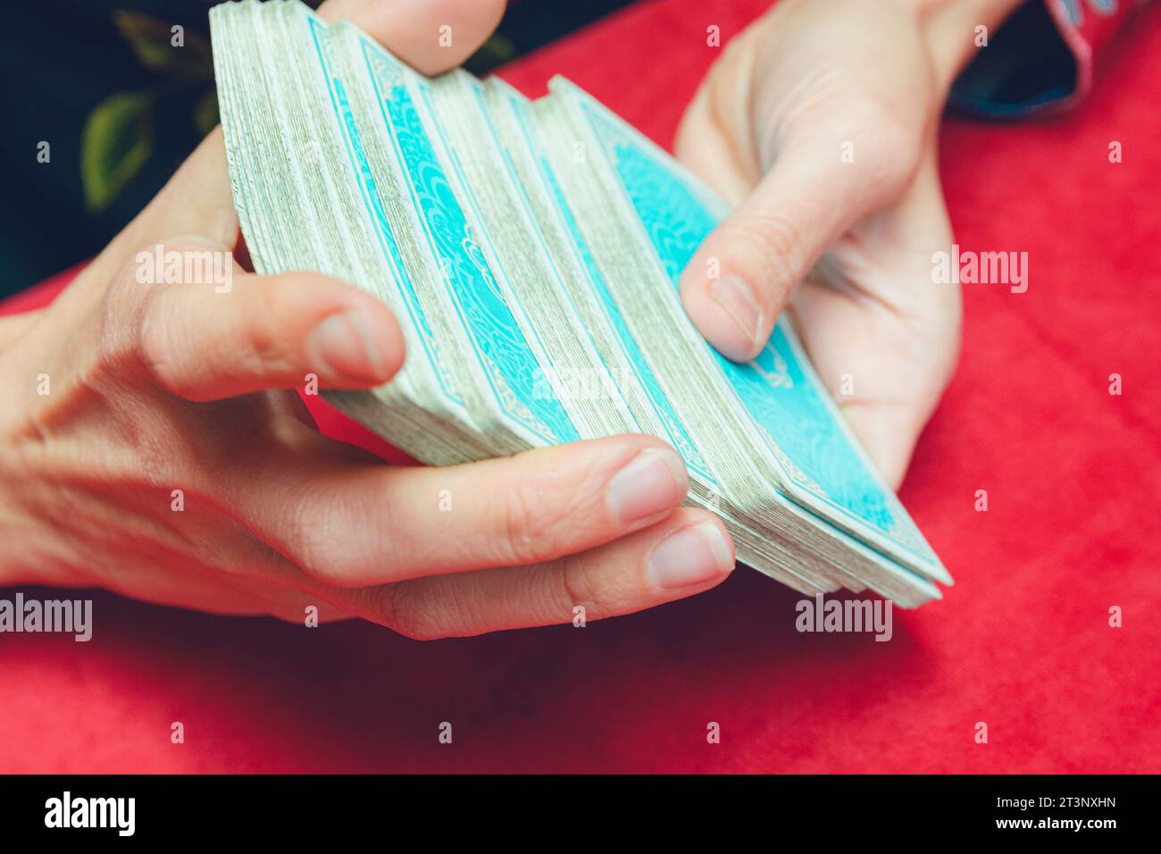 Close-up of hands of unrecognizable young Caucasian tarot reader woman mixing blue tarot cards on table with red tablecloth. Stock Photo