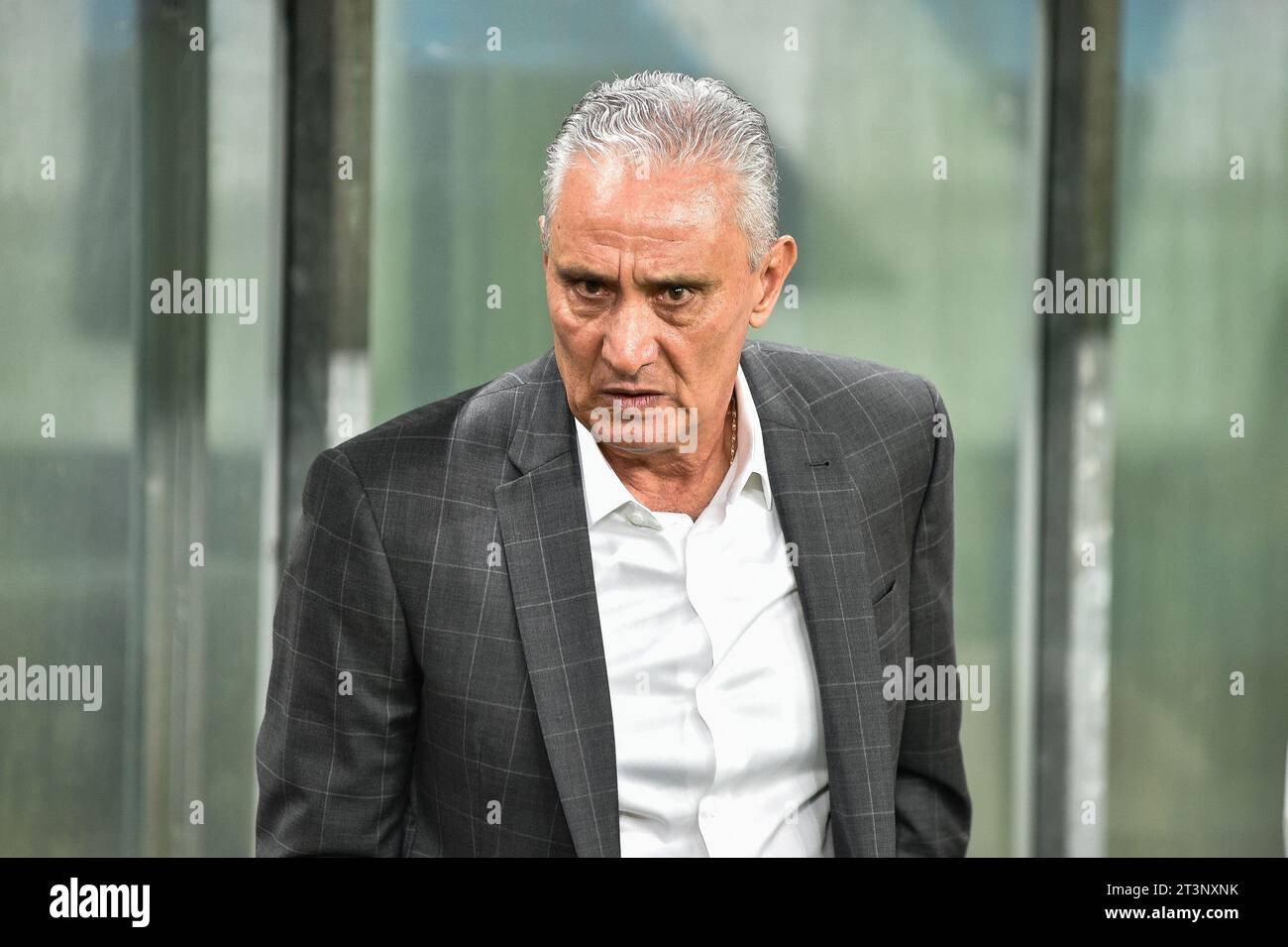 Porto Alegre, Brazil. 25th Oct, 2023. Flamengo coach Tite during the match against Grêmio, valid for the 29th round of the Brazilian Championship, held at Arena do Grêmio, in Porto Alegre, this Wednesday, October 25, 2023. Credit: Brazil Photo Press/Alamy Live News Stock Photo