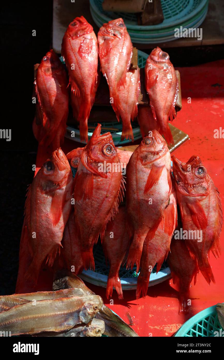 Fish market in Busan, South Korea. Red seabream also known as Japanese sea bream or madai at Jagalchi Fish Market. Stock Photo