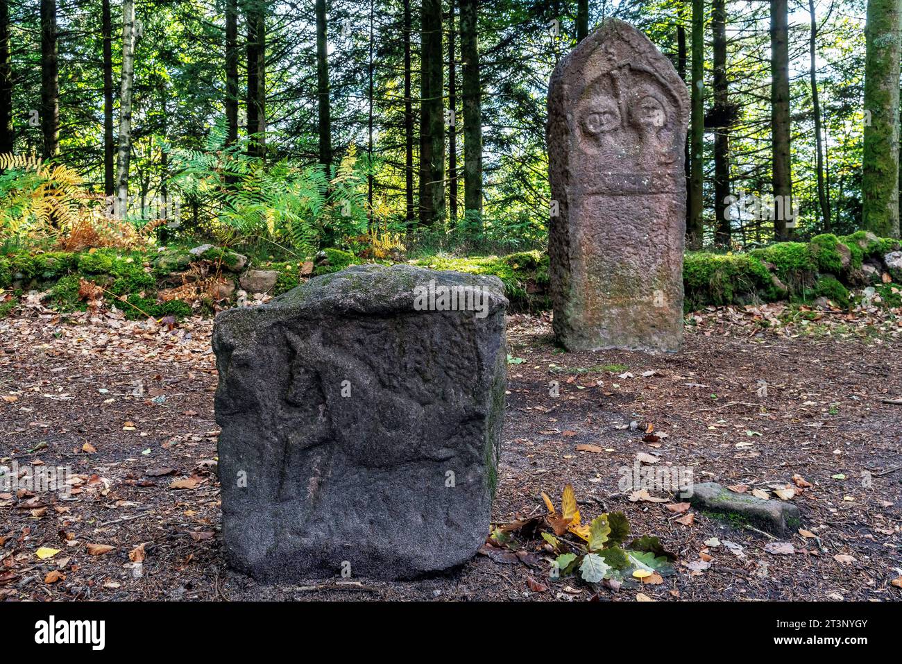 An upright funerary stele at the Celtic camp of La Bure a fortified high site bordering the Haute-Meurthe valley, Grand-East of France. Stock Photo