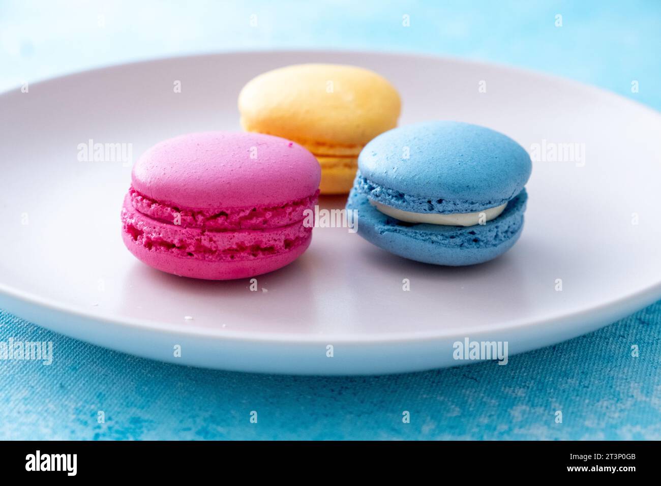 three different colored macarons on a pink plate on a blue background Stock Photo