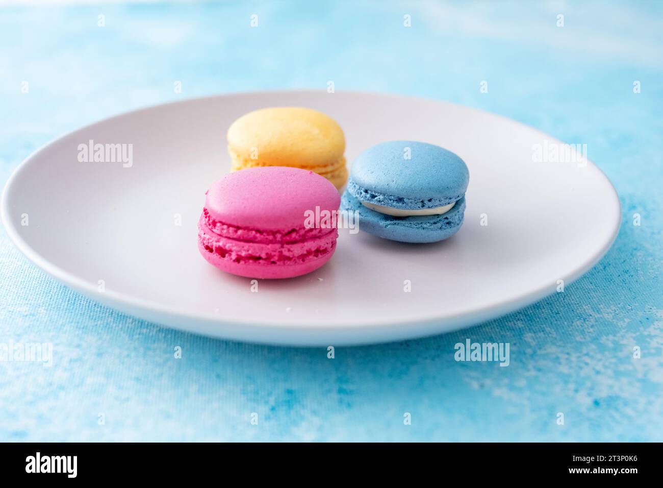 three different colored macarons on a pink plate on a blue background Stock Photo