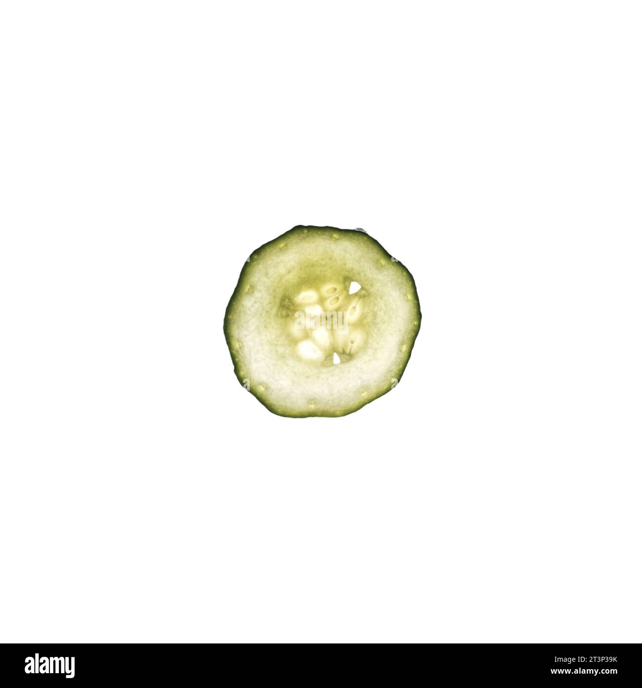 cucumber slices lit from the back on a transparent background Stock Photo