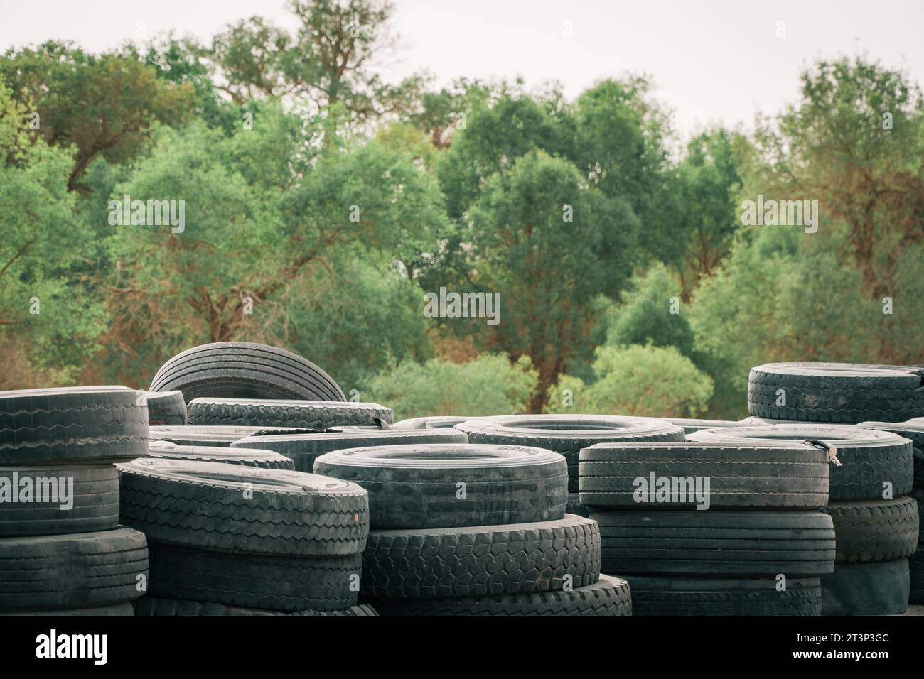 Abandoned car tires Stock Photo Alamy