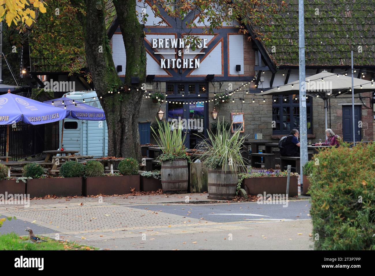 Brewhouse & Kitchen craft ale public house, Pontcanna, Cardiff. Taken