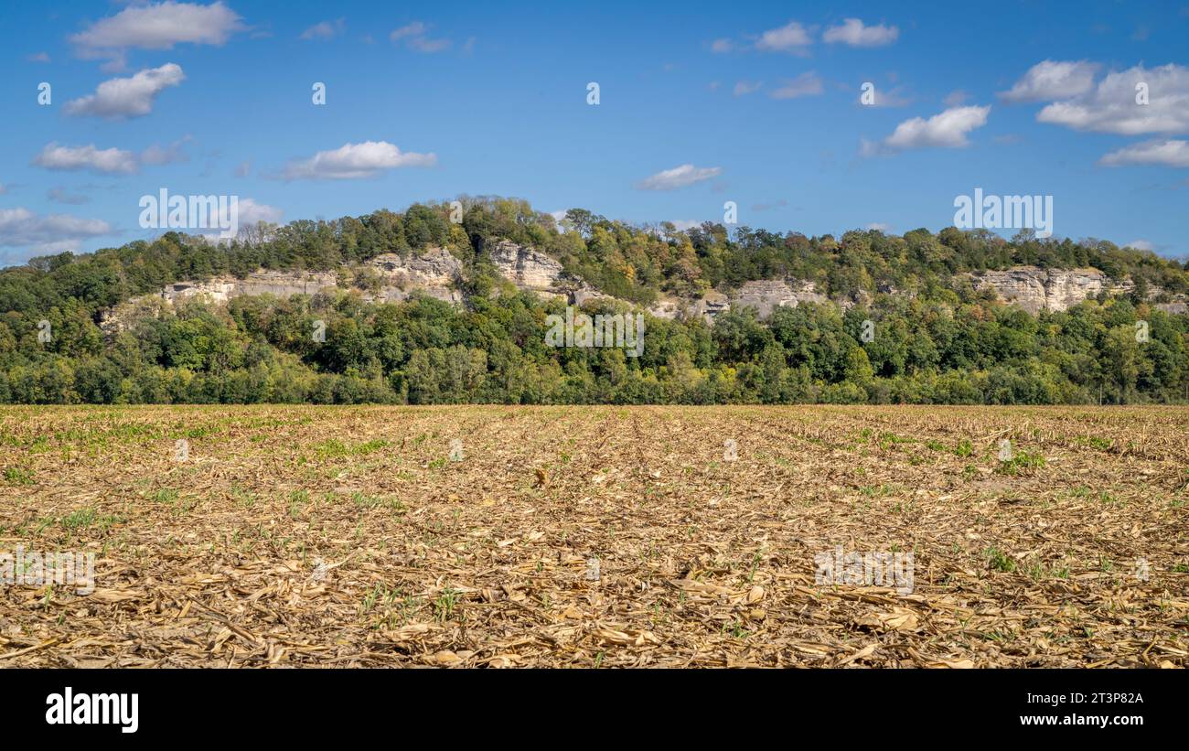 harvested corn field in the valley of Missouri River near Hartsburg, MO Stock Photo