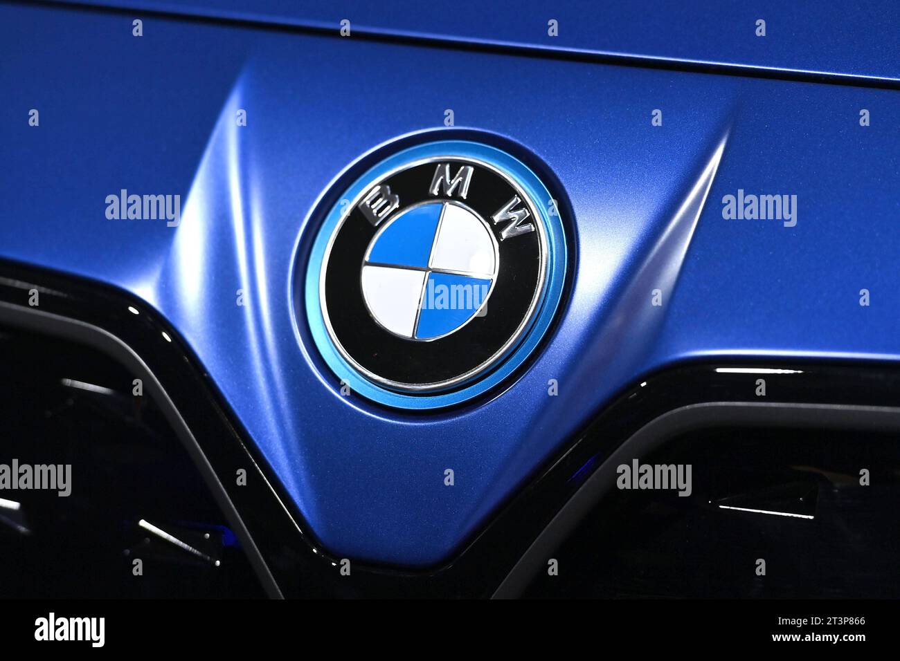 BMW Firmenemblem,Markenemblem,Logo. *** BMW company emblem,brand emblem ...