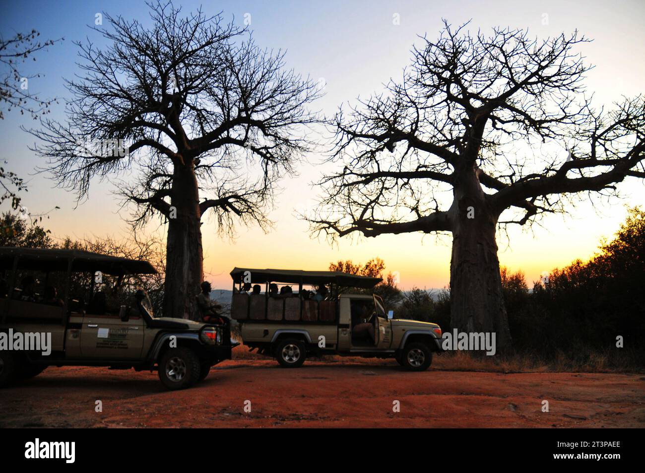 The Makuya Nature Reserve in Limpopo province South Africa offers visitors a unique experience of game drives and camping in rugged territory Stock Photo