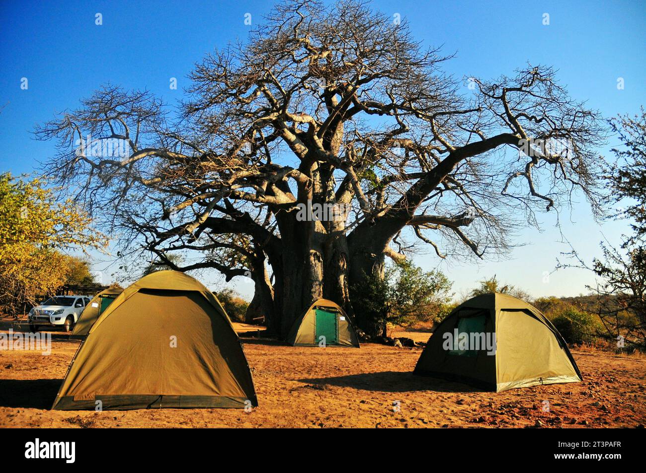 The Makuya Nature Reserve in Limpopo province South Africa offers visitors a unique experience of game drives and camping in rugged territory Stock Photo