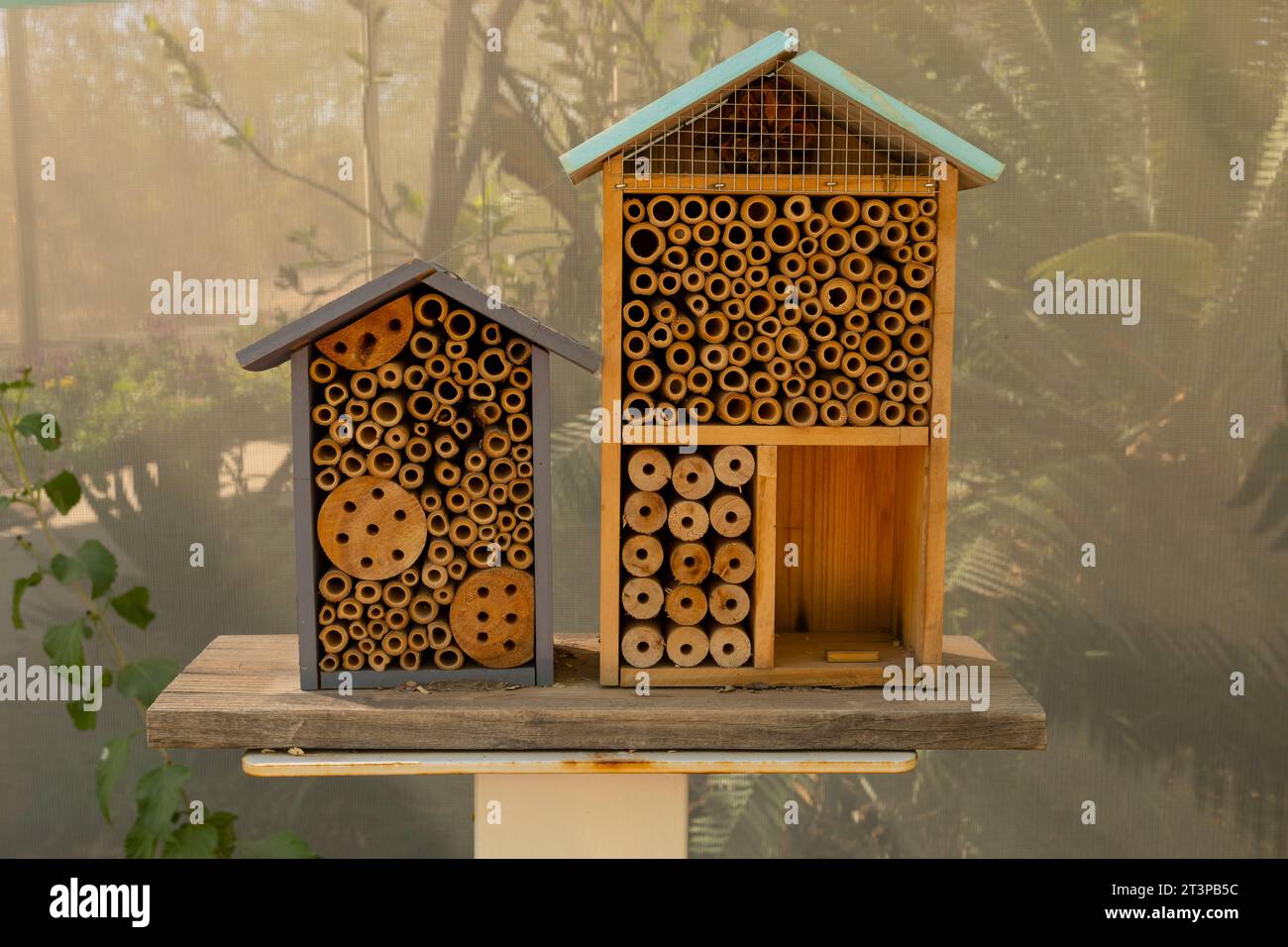 Wooden Insect House, Decorative Bug Hotel, Ladybird And Bee, Fly. Compartments And Natural Components. Outdoor Eco Home For Butterfly Hibernation And Stock Photo